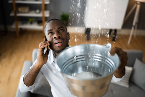 Best Mold removal after water damage  in Gig Harbor, WA