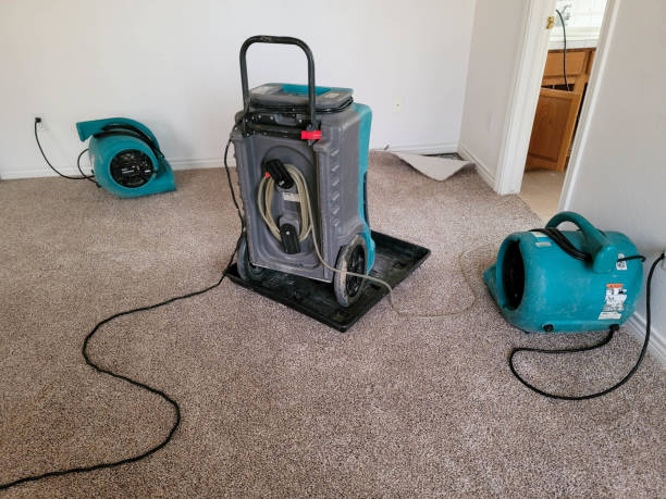 Best Water damage restoration company  in Gig Harbor, WA