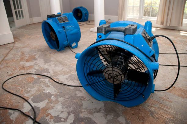 Best Water damage restoration near me  in Gig Harbor, WA