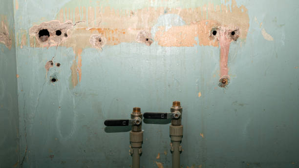 Best Ceiling water damage repair  in Gig Harbor, WA