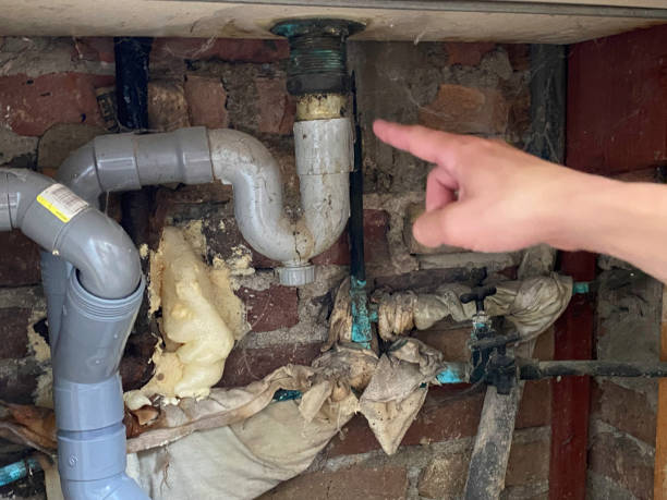 Best Flood damage cleanup  in Gig Harbor, WA